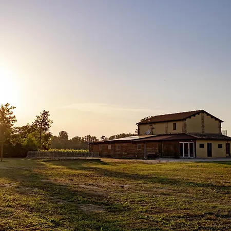 Podere Del Riccio فورلي